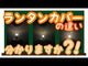 GENTOS_Explorer 鎢絲暖黃光露營燈- 400流明 IPX4(EX-400F)_影片