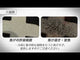 SHINFUJI_路面標示線條-100mm*5m
